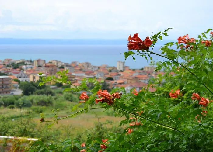 Aparthotel La Giungla Falerna