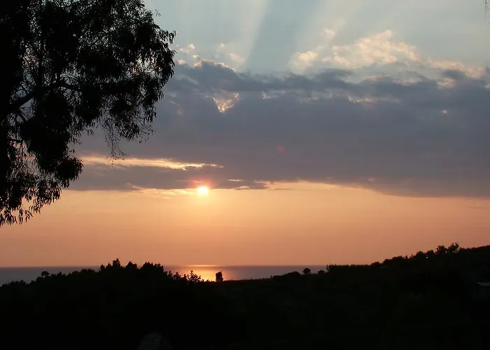 La Giungla Aparthotel